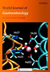 WORLD JOURNAL OF GASTROENTEROLOGY雜志封面